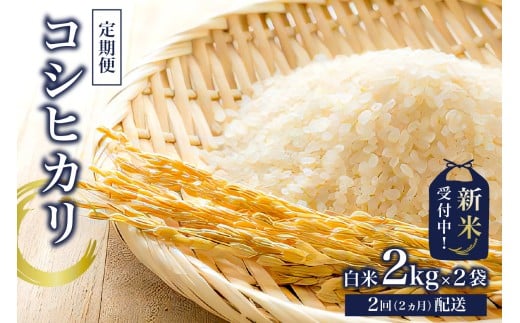 [定期便][新米]コシヒカリ白米2kg×2[2025年産][2か月連続でお届け] mi0015-0002 おにぎり 白米 お米 ブランド米 精米