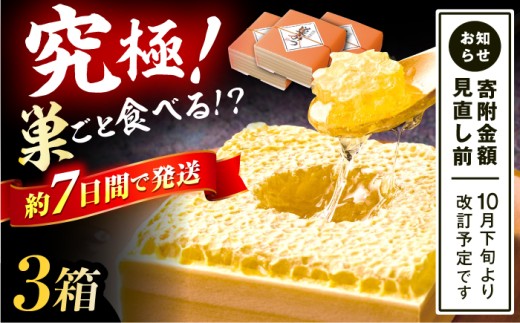国産巣みつ 900g(300g×3個) 蜂蜜 はちみつ ハチミツ コムハニー 極上 濃厚  蜂蜜 グリークヨーグルト アサイーボウル パンケーキ ソフトクリーム オシャレ 人気 朝食 デザート 巣みつ スピード配送 広川町 / 株式会社九州蜂の子本舗 [AFAI006]