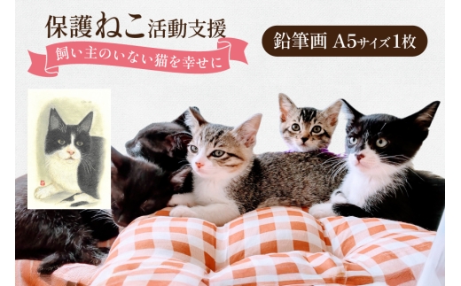 保護猫 支援 猫保護活動への支援 鉛筆画 A5 [地域ねこサポート会ちくしの 福岡県 筑紫野市 21761294] 保護 動物 猫 応援 ネコ ねこ ペット動物愛護 愛護 保護活動 クリポス メール便 メール便対応 