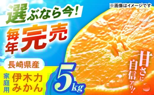 伊木力みかん 家庭用みかん 5kg みかん ミカン 蜜柑 フルーツ 果物