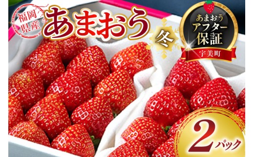 [期間限定発送] いちご あまおう 福岡産あまおう 冬 2パック [南国フルーツ 福岡県 宇美町 um40azo970000] 先行予約 イチゴ 苺 フルーツ 果物 果実 甘い あまい 小分け