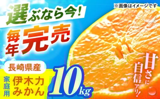 伊木力みかん 家庭用 10kg みかん ミカン 蜜柑 フルーツ 果物