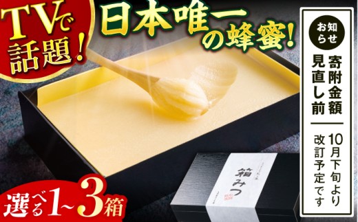 箱みつ ハチミツ はちみつ 蜂蜜 ハニー