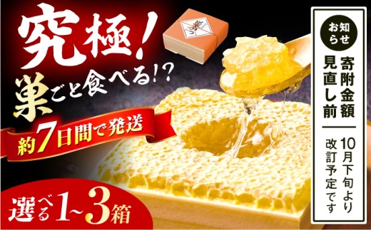 国産巣みつ 300g 蜂蜜 はちみつ ハチミツ