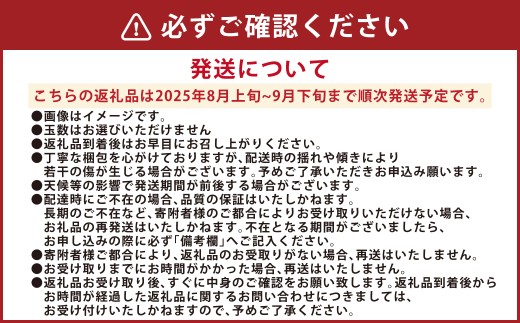 吉野梨 秋月 約5kg