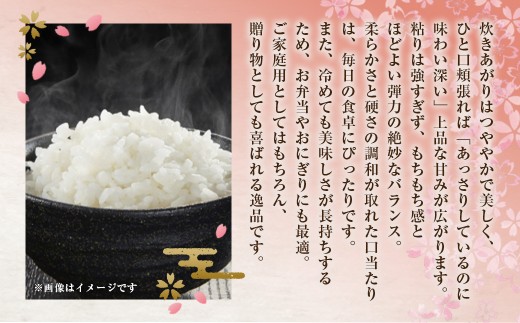  福岡県産 夢つくし 無洗米 10kg （5kg × 2袋）