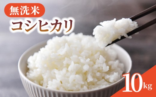 無洗米 米 コシヒカリ 10kg 令和7年産 新米 精米 白米 2025 7年産 お米 ご飯 無洗 むせんまい こめ コメ kome おこめ ごはん ライス こしひかり 家庭用 備蓄 防災 お弁当 産地直送 送料無料 国産 千葉県産 ふるさと納税 千葉 千葉県 旭市 BANJYO farm bnj002 2307946 - 千葉県旭市
