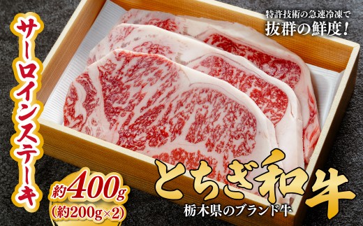 とちぎ和牛の厚切りサーロインステーキ 400ｇ(200ｇ×2枚)【栃木県共通返礼品】 | 牛肉 肉 お肉 厚切り サーロイン ステーキ 柔らかい 産地直送 国産 国産牛 交雑 赤身 霜降り 希少 旨味 旨み 熟成 急速冷凍 テクニカン テクニカン社 スキンパック 真空パック 真空包装 コトラミートカルチャ 栃木県 茂木町