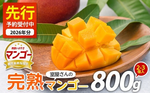 【2026年 発送】室屋さんの完熟指宿産マンゴー約800g 2個～3個入り(中園久太郎商店/016-1758) マンゴー フルーツ 果物 旬 夏 指宿 いぶすき 鹿児島  完熟  お供え 御供 ギフト 贈り物 プレゼント グルメ 南国 南国フルーツ 果実 マンゴー 太陽 国産 鹿児島県産 果汁