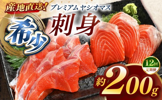 【定期便12回】産地直送栃木県のブランド魚「プレミアムヤシオマス」の刺身 200g [ 冷凍便 ] | 魚 ます 養殖 産地直送 栃木県 (毎月お届け） 2198671 - 栃木県矢板市