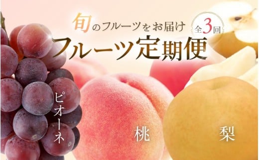 フルーツ 定期便 全3回 （桃・梨・ピオーネ ）/ 和歌山 旬 くだもの 甘い ぶどう もも なし ※北海道・沖縄・離島は配送不可【tkb114】