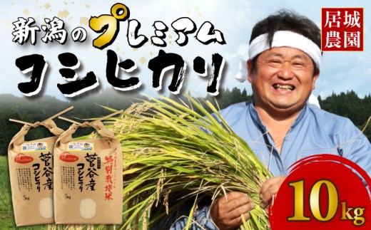【2025年10月発送】プレミアム コシヒカリ 10kg 令和7年産 特別栽培米 こしひかり プレミアムコシヒカリ  精米 白米 ご飯 おにぎり 弁当 新潟県産 新発田産 菅谷産 新潟 米 お米 こめ 居城農園 菅谷 新潟県 米 新潟県 新発田市 D79_202510 2282342 - 新潟県新発田市
