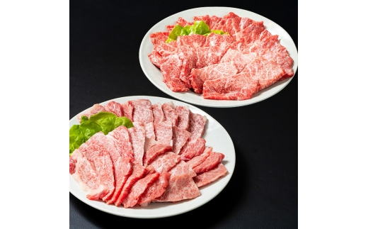 おおいた和牛 バラ もも 焼肉 セット (合計800g・バラ400g+もも400g) 国産 牛肉 肉 霜降り A4 和牛 ブランド牛 冷凍 BBQ 大分県 【opae008】【ミートクレスト】 2320511 - 大分県大分県庁