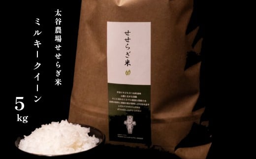 《令和7年産・新米》太谷農場のせせらぎ米 ミルキークイーン5kg /長野県白馬村産 2025年産 米 コメ  玄米 2023年特別最高金賞受賞 コンクール受賞 お米 ご飯 ごはん 送料無料【B0100655】