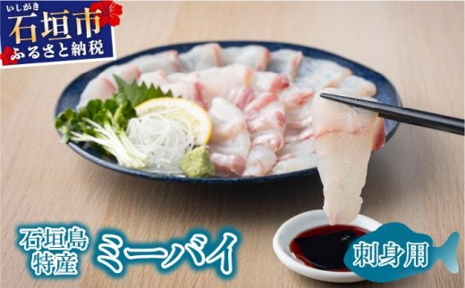 石垣島特産ミーバイ（ヤイトハタ）販売記念お試しお刺身用 KS-16 2307095 - 沖縄県石垣市
