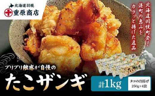 プリプリ触感が自慢 たこザンギ 計1kg (タコの唐揚げ 250g×4) | たこザンギ たこ唐揚げ から揚げ からあげ フライ 業務用 冷凍食品 海鮮 惣菜 おかず お弁当 酒の肴ご飯のお供 たこの唐揚げ たこ タコ 蛸 つまみ おつまみ 海の幸 プリプリ お取り寄せ 北海道 羽幌町 羽幌[05128]
