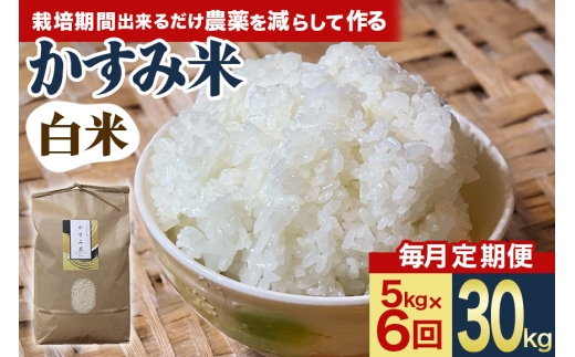 【毎月定期便】心と身体が踊りだす栽培期間中出来るだけ農薬を減らして作る「かすみ米」白米 5kg 全6回 お米 米 国産米 茨城県 潮来市 (A03-047)