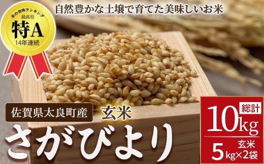 佐賀県太良町産~牟田農園のさがびより 10kg<玄米>  ごはん 米 お米 玄米 こめ コメ ブランド米 げんまい 国産 お米 特Aランク 美味しい おにぎり お弁当 佐賀県 太良町 P123 2308241 - 佐賀県太良町