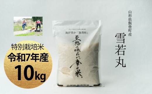 【令和7年産】至福の味わい、　幸せ米。「雪若丸」精米 10Kg - 白米 米 ごはん 品種 銘柄 ブランド米 おすすめ 送料無料 山形県 飯豊町 2317009 - 山形県飯豊町
