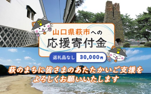 萩市応援寄付金 寄付金額30,000円分 ｜HGH00124