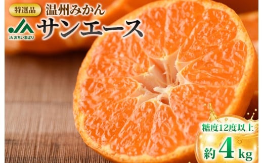 【先行予約】特選品温州みかんサンエース【KB02210】 552159 - 愛媛県今治市