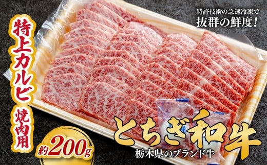 とちぎ和牛の特上カルビ 焼肉用 200g【栃木県共通返礼品】 |  牛肉 肉 お肉 カルビ 特上 バラ肉 焼肉 産地直送 国産 国産牛 交雑 赤身 霜降り 希少 旨味 旨み 熟成 急速冷凍 テクニカン テクニカン社 スキンパック 真空パック 真空包装 コトラミートカルチャ 栃木県 茂木町 2337280 - 栃木県茂木町