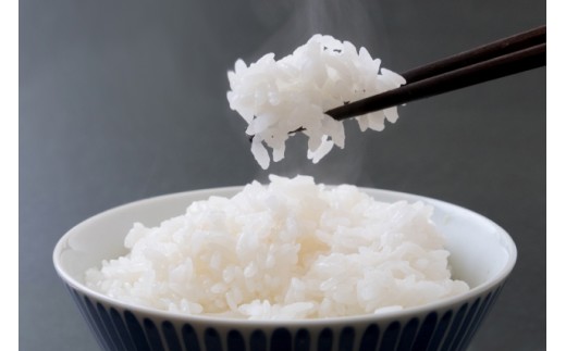 令和7年産 茨城県産 新米 にじのきらめき 10kg 白米 米 こめ コメ 農家 直送 こだわり お米 おこめ 茨城 [BG016ya]