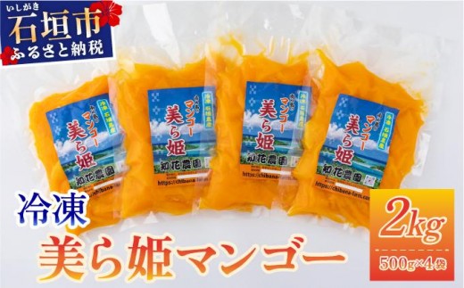 冷凍美ら姫マンゴー 2kg（500g×4袋）CB-4 2307089 - 沖縄県石垣市