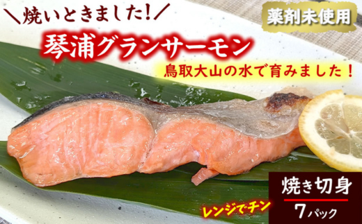 国産とっとり琴浦グランサーモン焼いときました 焼魚7切 塩焼き 不揃いのため訳あり 個包装 レンチン