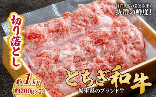 とちぎ和牛の切り落とし 1kg（200g×5）【栃木県共通返礼品】 | 牛肉 肉 お肉 産地直送 国産 国産牛 牛丼 交雑 赤身 霜降り 希少 旨味 旨み 熟成 急速冷凍 テクニカン テクニカン社 スキンパック 真空パック 真空包装 コトラミートカルチャ 栃木県 茂木町 2337271 - 栃木県茂木町