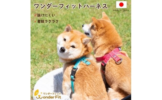 No.317 ハーネス 抜けにくい 嫌がらない 簡単装着 着脱らくらく 調整可能 34－100g ／ 犬用 胴輪 お散歩 安心設計 抜けない 脱げない 外れない ワンタッチ 簡単装着 ペットグッズ ペット用品  おしゃれ 可愛い プレゼント 贈り物 てるべる 埼玉県 2314475 - 埼玉県越谷市