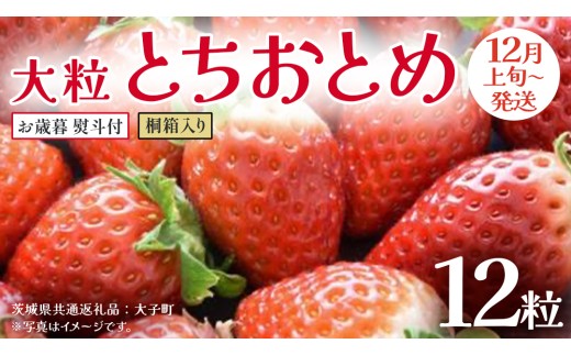 【 お歳暮 熨斗付き 】 桐箱入り 大粒 とちおとめ 12粒【2025年12月上旬発送開始】(茨城県共通返礼品：大子町) いちご 苺 果物 フルーツ 果実 贈答用 ギフト 贈り物