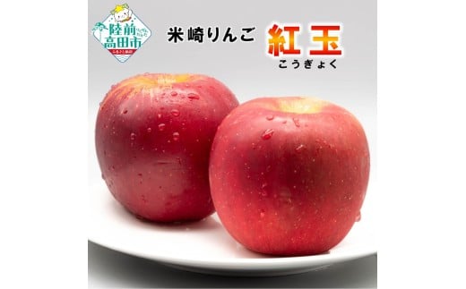 米崎りんご 約3kg 【品種：紅玉】 料理・お菓子におすすめ ( 加工用 )【 数量限定 リンゴ 林檎 りんご 産地直送 新鮮 アップル 家庭用 】RT3053