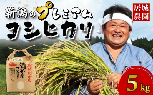 【2026年2月発送】プレミアム コシヒカリ 5kg 令和7年産 特別栽培米 こしひかり プレミアムコシヒカリ  精米 白米 ご飯 おにぎり 弁当 新潟県産 新発田産 菅谷産 新潟 米 お米 こめ 居城農園 菅谷 新潟県 米 新潟県 新発田市 D78_202602 2282341 - 新潟県新発田市