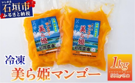 冷凍美ら姫マンゴー 1kg（500g×2袋）CB-3 2307082 - 沖縄県石垣市