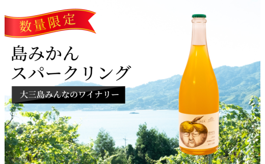 島みかんスパークリング【V003350】