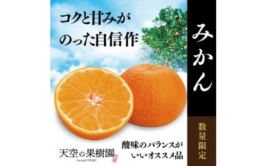 天空の果樹園から届くそらみかん (3kg)＜A95-7＞【1668512】