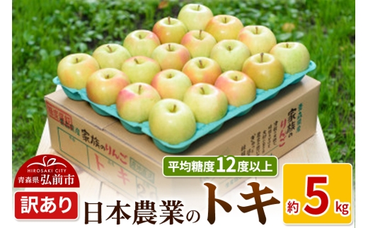 りんご 平均糖度12度以上！ トキ 約5kg 訳あり【先行受付】 青森 果物 フルーツ 林檎 リンゴ くだもの 不揃い 規格外 予約 1471665 - 青森県弘前市
