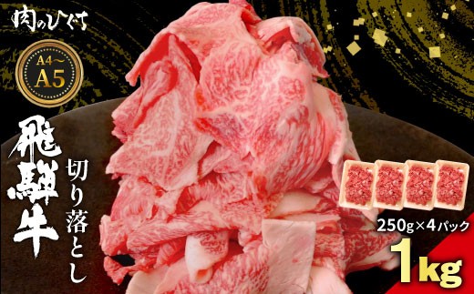 飛騨牛 切り落とし 1kg（250g×4P） A5 A4 国産 牛 黒毛和牛 和牛 牛肉 切落し 切り落し 薄切り 訳あり 牛丼 すき焼き しゃぶしゃぶ 炒め物 東白川村 岐阜 飛騨 贅沢 霜降り ロース バラ もも ウデ 肉のひぐち 2312339 - 岐阜県東白川村