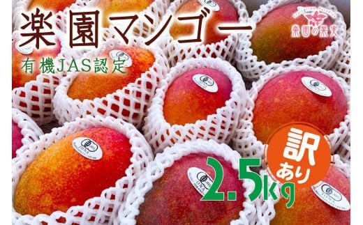 DQ021《先行予約》2026年発送 有機JAS認証マンゴー（アーウィン）わけあり 2.5kg【楽園の果実】 810566 - 沖縄県宮古島市