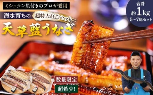 うなぎ  【ミシュラン1つ星店 採用】数量限定!! 海水育ちの天草藍うなぎ 超特大 紅白 5～7尾 セット【合計約1kg】 鰻 ニホンウナギ 惣菜 熊本県産 九州 国産 冷凍 331250 - 熊本県宇城市