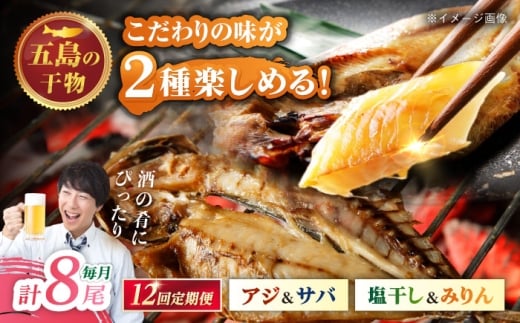 【12回定期便】一夜干し 4種（アジ/サバ）計8尾 五島市/愛情食彩 [PCH036]