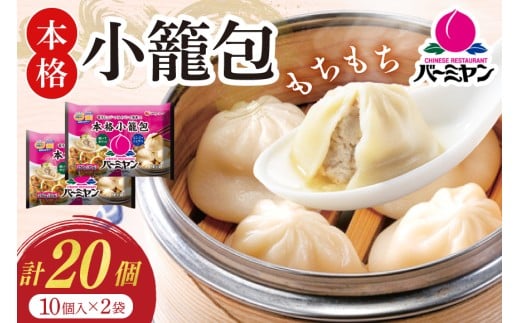 小籠包 バーミヤン 本格小籠包 250g 10個入り ×2袋 [すかいらーくホールディングス 宮崎県 日向市 452061569] レンジ 冷凍 おつまみ 中華 しょうろんぽう ショウロンポウ 点心 
