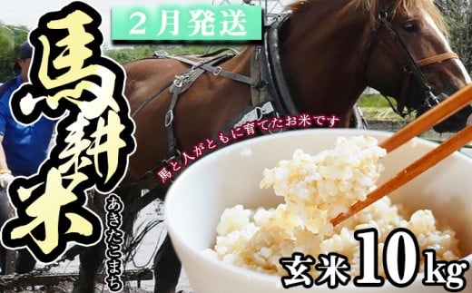 【 2026年 2月中旬より発送】 岩手県産 馬耕米 あきたこまち 玄米 10kg ／【株式会社スタディア】 お米 米 こめ コメ 馬ふん堆肥 使用 ご飯 ライス おにぎり 弁当 単一原料米 10キロ １０kg 馬耕 馬 ウマ うま 産地直送 国産 おすすめ 人気 2291150 - 岩手県滝沢市