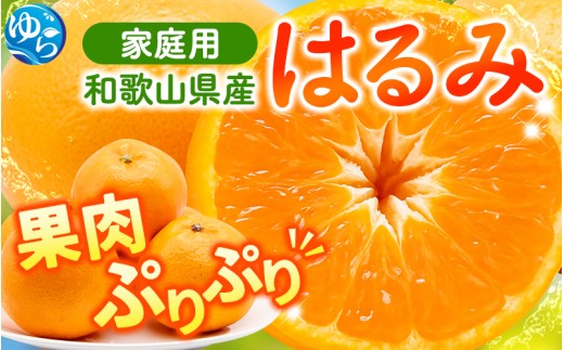 【先行予約】＜2月より発送＞ 家庭用はるみ7.5kg+250g（傷み補償分）デコポンの姉妹品種 新食感春みかん 光センサー選別 訳あり わけあり 【ikd229】