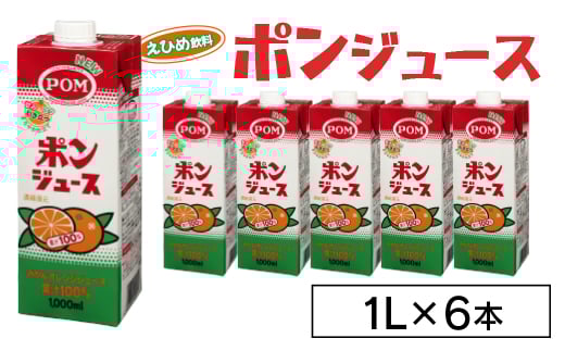 えひめ飲料　ポンジュース1L×6本_ 果汁100％ 濃縮還元 みかん みかんジュース オレンジジュース フルーツジュース POM ポンジュース ぽんじゅーす 6本 おすすめ 人気 送料無料 【1499873】 1374249 - 茨城県茨城県庁