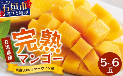 【先行予約】《2026年7月以降より順次発送》石垣島産 マンゴー (アーウィン種) 5~6玉(箱含め約2kg)《樹齢30年の木で育ったマンゴー》|産地直送 沖縄 石垣島 マンゴー アーウィン マンゴー フルーツ TP-2 1328714 - 沖縄県石垣市