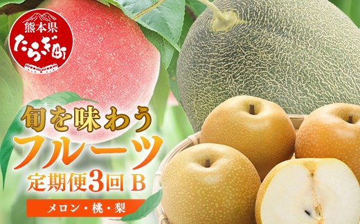 【フルーツ3回定期便B】2026年発送分 アンデスメロン・桃・梨  3回配送 旬 フルーツ 定期便 数量限定 メロン 球磨の桃 豊永の梨 果物 名産 熊本 多良木町 092-0508