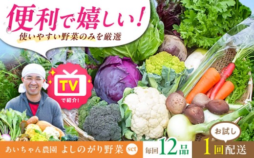 【12品】農薬に頼らない！カラダにやさしい「よしのがり野菜」セット（レギュラー）吉野ヶ里町/吉野ヶ里あいちゃん農園 [FAA005]