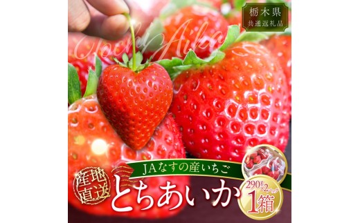 【数量限定】JAなすの産いちご 産地直送 とちあいか 1箱（290g×2パック）【栃木県共通返礼品】〔P-419〕 ※北海道・沖縄・離島への配送不可 ※2026年1月中旬～2月下旬頃に順次発送予定